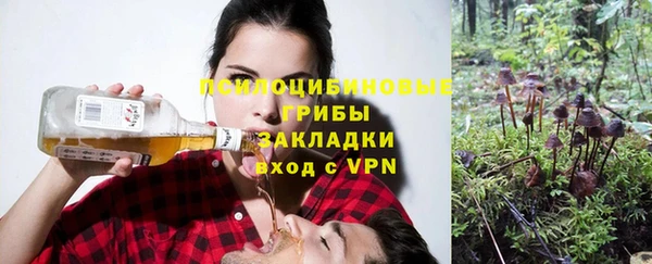 молекула духа Баксан